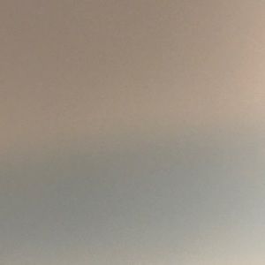 Meet your Posher, Dylan